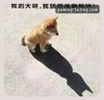 赵峰